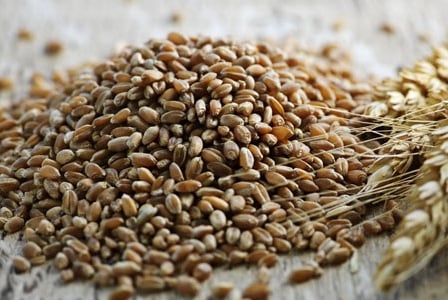 Meatless Monday: Great Grains
