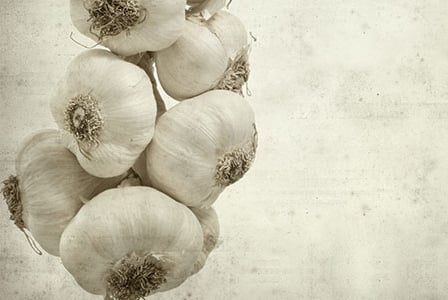 Aged Garlic Extract
